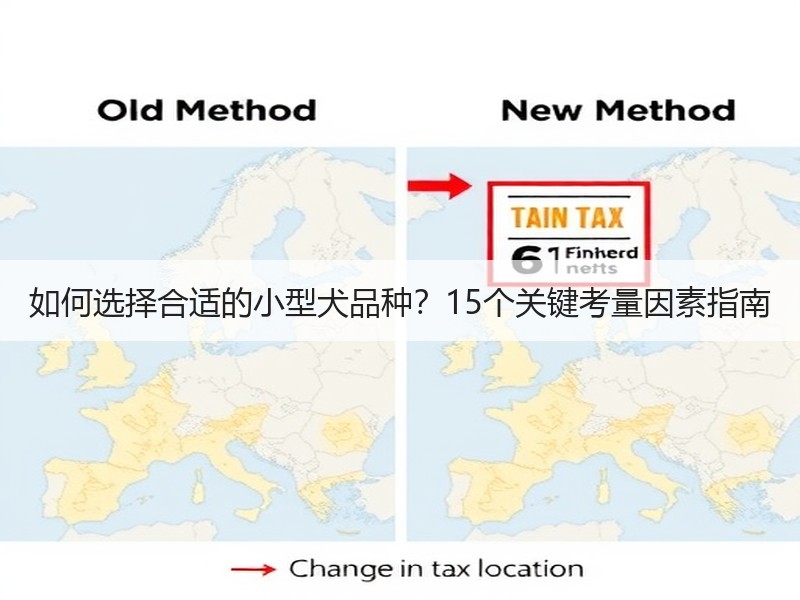 如何选择合适的小型犬品种?15个关键考量 如何选择合适的小型犬品种?15个关键考量