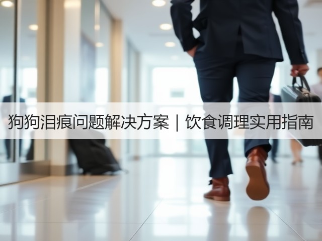 狗狗泪痕问题解决方案｜饮食调理实用指南(图1)