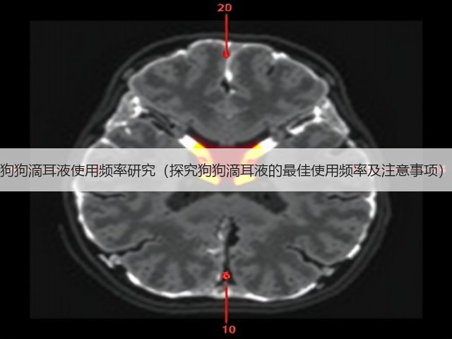 狗狗滴耳液使用频率研究(探究狗狗滴耳液的最佳使用频率及注意事项)(图1) 狗狗滴耳液使用频率研究(探究狗狗滴耳液的最佳使用频率及注意事项)(图1)