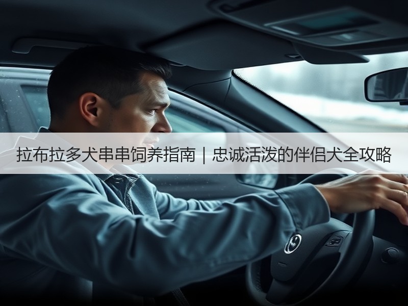 拉布拉多犬串串饲养指南｜忠诚活泼的伴侣犬全攻略