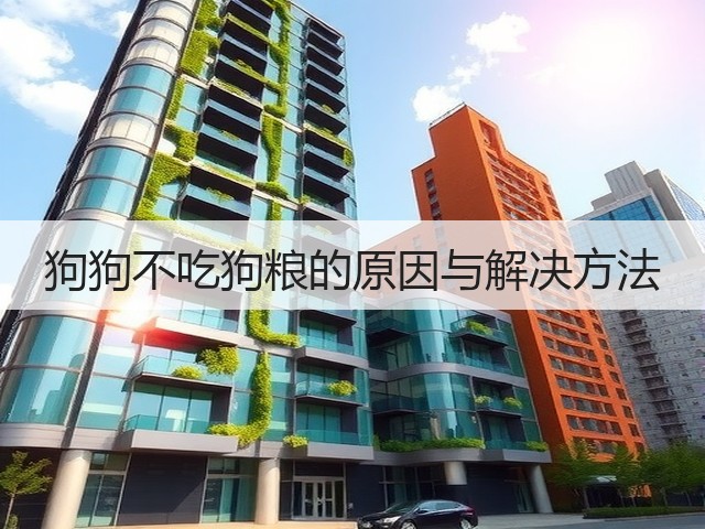狗狗不吃狗粮的原因与解决方法(图2) 狗狗不吃狗粮的原因与解决方法(图2)