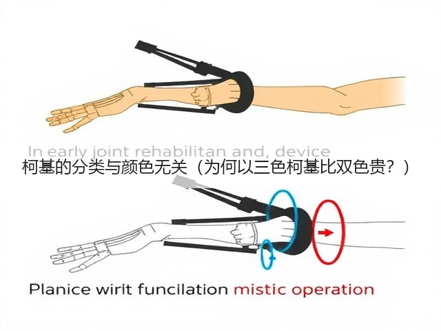 柯基的分类与颜色无关（为何以三色柯基比双色贵？）(图3)