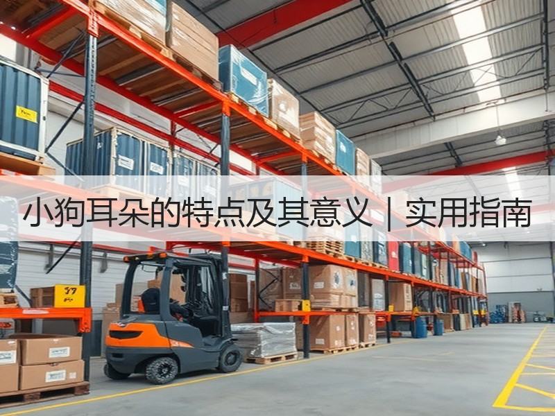 小狗耳朵的特点及其意义｜实用指南