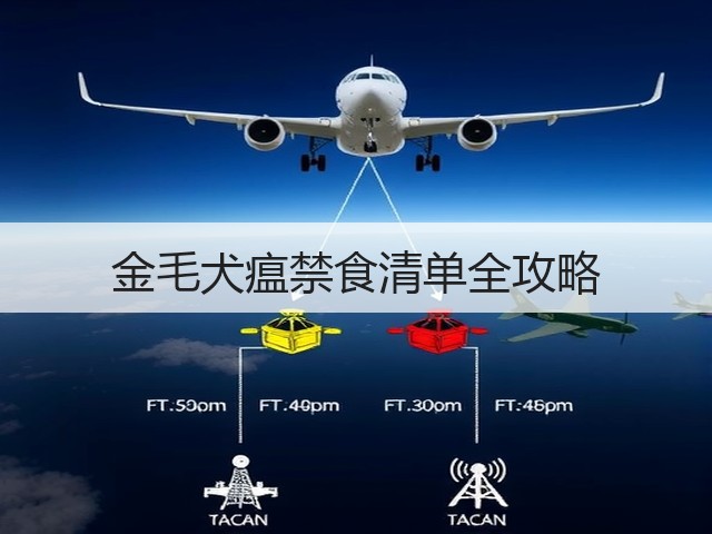 金毛犬瘟禁食清单全攻略(图3) 金毛犬瘟禁食清单全攻略(图3)