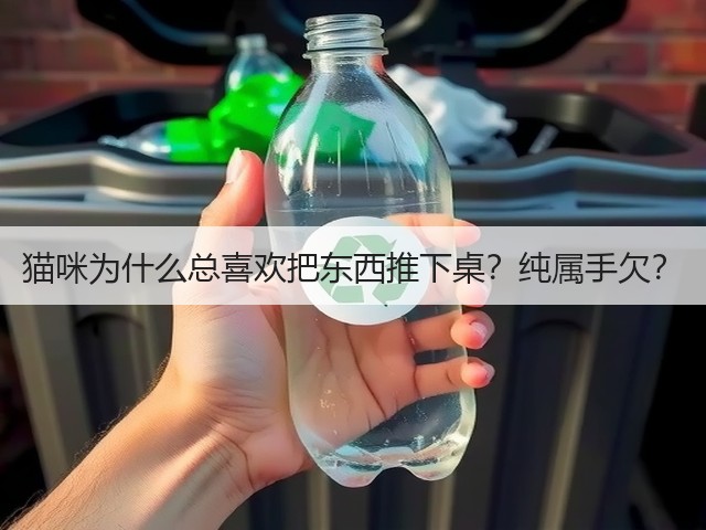 猫咪为什么总喜欢把东西推下桌?纯属手欠?(图2) 猫咪为什么总喜欢把东西推下桌?纯属手欠?(图2)