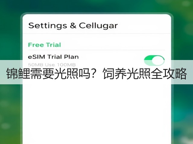 锦鲤需要光照吗?饲养光照全攻略(图1) 锦鲤需要光照吗?饲养光照全攻略(图1)