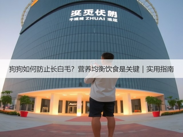 狗狗如何防止长白毛?营养均衡饮食是关键|实用指南(图1) 狗狗如何防止长白毛?营养均衡饮食是关键|实用指南(图1)