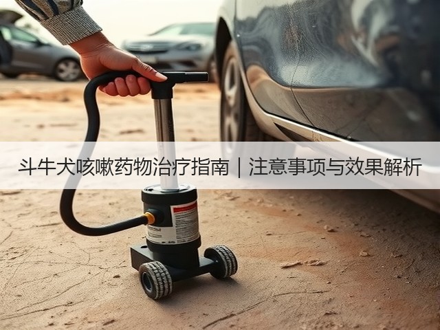 斗牛犬咳嗽药物治疗指南|注意事项与效果解析(图3) 斗牛犬咳嗽药物治疗指南|注意事项与效果解析(图3)
