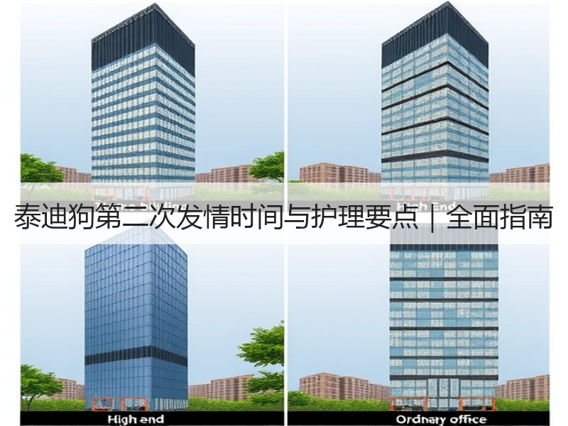 泰迪狗第二次发情时间与护理要点｜全面指南