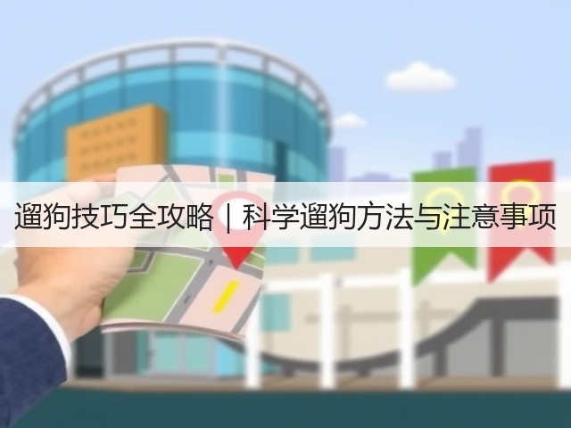 遛狗技巧全攻略|科学遛狗方法与注意事项(图1) 遛狗技巧全攻略|科学遛狗方法与注意事项(图1)