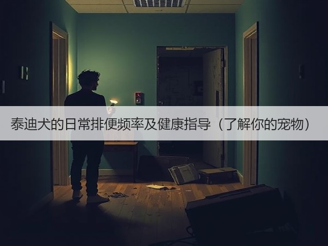 泰迪犬的日常排便频率及健康指导(了解你的宠物)(图2) 泰迪犬的日常排便频率及健康指导(了解你的宠物)(图2)