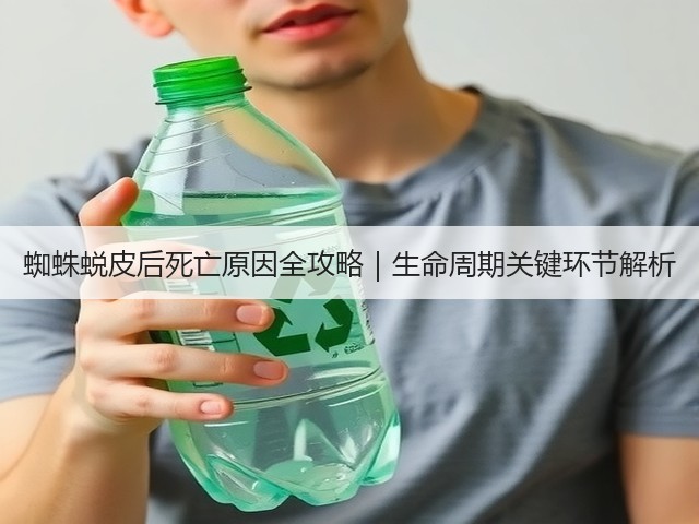 蜘蛛蜕皮后死亡原因全攻略|生命周期关键环节解析(图2) 蜘蛛蜕皮后死亡原因全攻略|生命周期关键环节解析(图2)