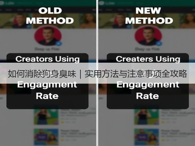 如何消除狗身臭味|实用方法与注意事项全攻略(图3) 如何消除狗身臭味|实用方法与注意事项全攻略(图3)