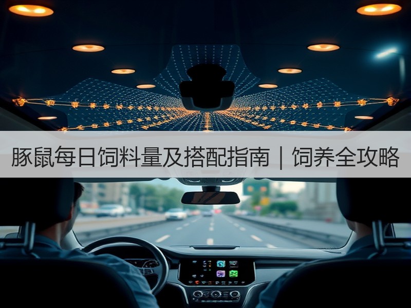 豚鼠每日饲料量及搭配指南｜饲养全攻略