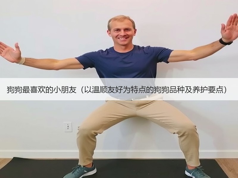 狗狗最喜欢的小朋友（以温顺友好为特点的狗狗品种及养护要点）
