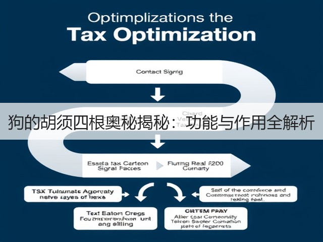 狗的胡须四根奥秘揭秘:功能与作用全解析(图3) 狗的胡须四根奥秘揭秘:功能与作用全解析(图3)