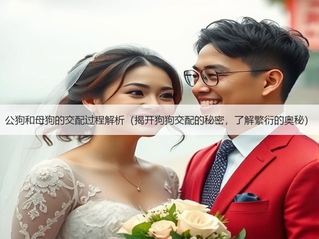 公狗和母狗的交配过程解析(揭开狗狗交配的秘密,了解繁衍的奥秘)(图1) 公狗和母狗的交配过程解析(揭开狗狗交配的秘密,了解繁衍的奥秘)(图1)