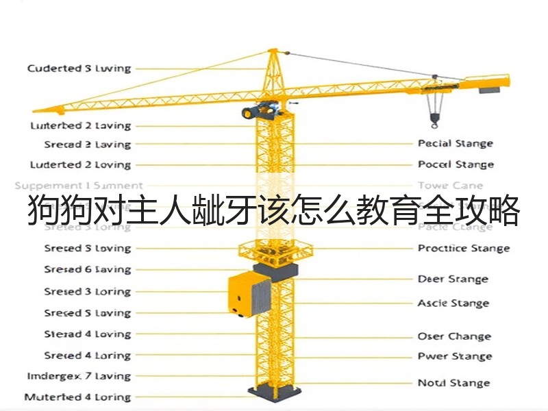 狗狗对主人龇牙该怎么教育全攻略