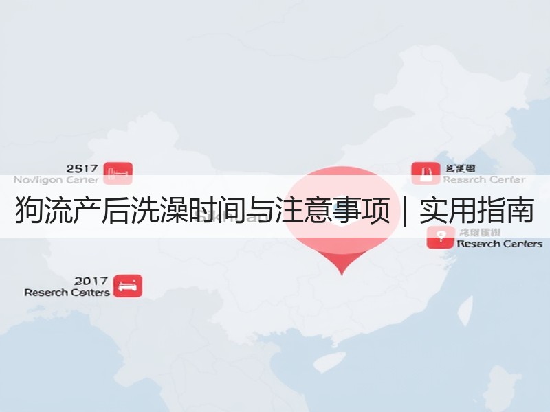 狗流产后洗澡时间与注意事项｜实用指南
