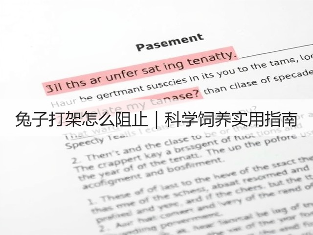 兔子打架怎么阻止｜科学饲养实用指南(图2)