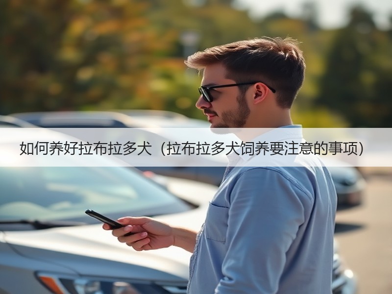 如何养好拉布拉多犬（拉布拉多犬饲养要注意的事项）