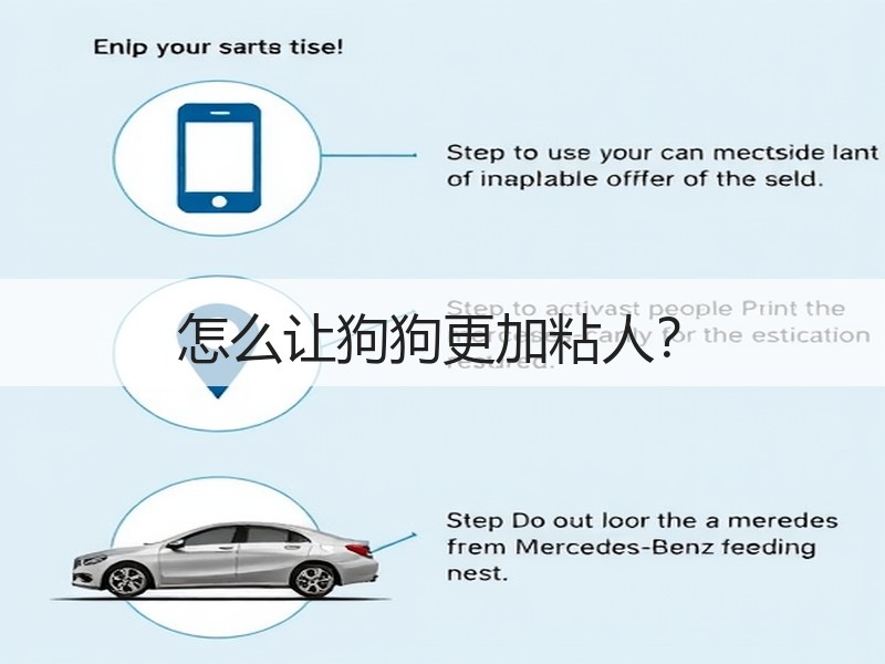 怎么让狗狗更加粘人？