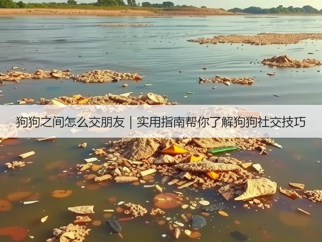 狗狗之间怎么交朋友|实用指南帮你了解狗狗社交技巧(图2) 狗狗之间怎么交朋友|实用指南帮你了解狗狗社交技巧(图2)