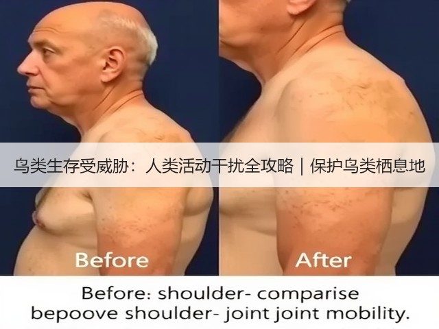 鸟类生存受威胁:人类活动干扰全攻略|保护鸟类栖息地(图3) 鸟类生存受威胁:人类活动干扰全攻略|保护鸟类栖息地(图3)