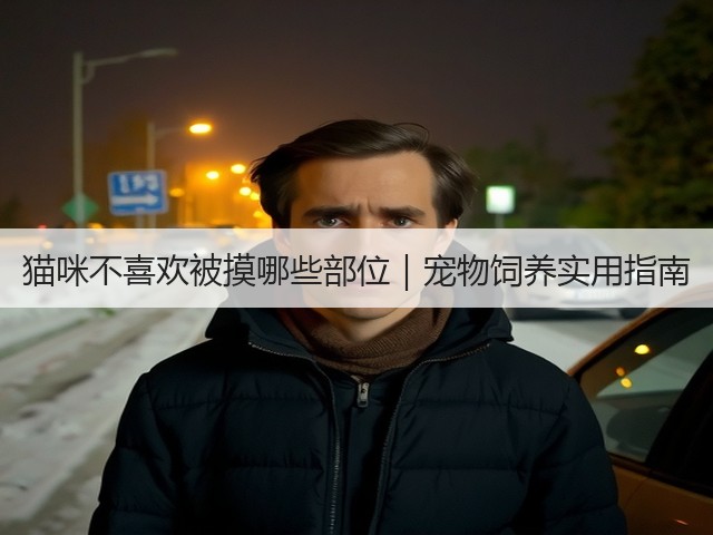猫咪不喜欢被摸哪些部位|宠物饲养实用指南(图2) 猫咪不喜欢被摸哪些部位|宠物饲养实用指南(图2)