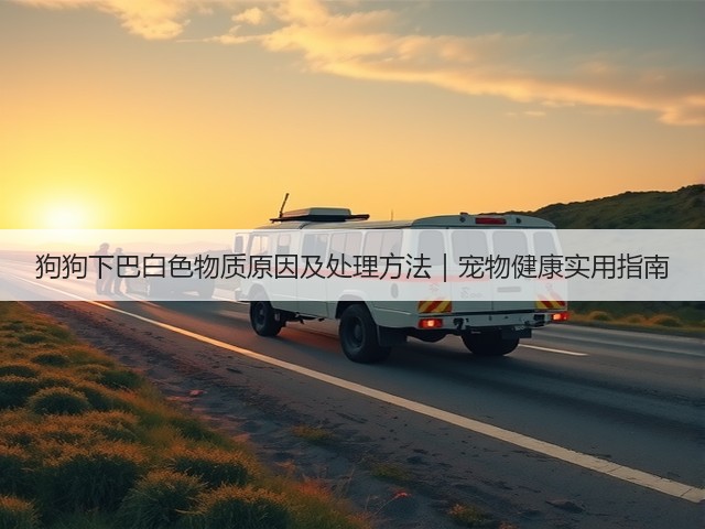 狗狗下巴白色物质原因及处理方法|宠物健康实用指南(图2) 狗狗下巴白色物质原因及处理方法|宠物健康实用指南(图2)