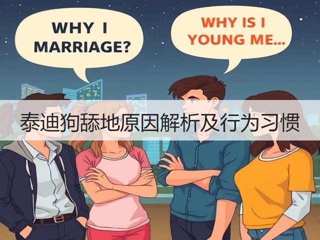 泰迪狗舔地原因解析及行为习惯(图1) 泰迪狗舔地原因解析及行为习惯(图1)
