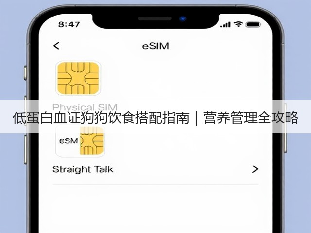 低蛋白血证狗狗饮食搭配指南|营养管理全攻略(图2) 低蛋白血证狗狗饮食搭配指南|营养管理全攻略(图2)