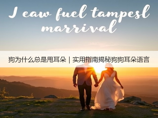 狗为什么总是甩耳朵|实用指南揭秘狗狗耳朵语言(图2) 狗为什么总是甩耳朵|实用指南揭秘狗狗耳朵语言(图2)
