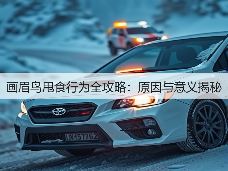 画眉鸟甩食行为全攻略：原因与意义揭秘