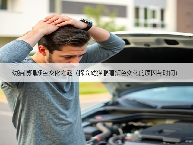 幼猫眼睛颜色变化之谜(探究幼猫眼睛颜色变化的原因与时间)(图1) 幼猫眼睛颜色变化之谜(探究幼猫眼睛颜色变化的原因与时间)(图1)