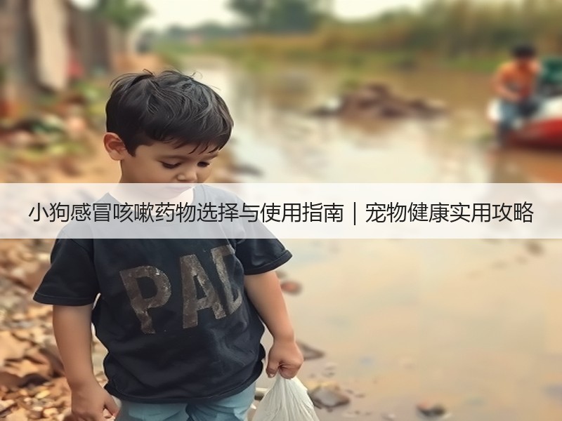 小狗感冒咳嗽药物选择与使用指南｜宠物健康实用攻略