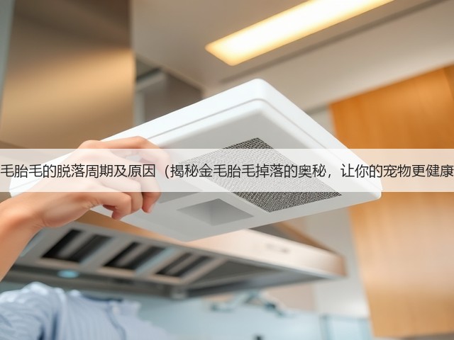 金毛胎毛的脱落周期及原因(揭秘金毛胎毛掉落的奥秘,让你的宠物更健康)(图1) 金毛胎毛的脱落周期及原因(揭秘金毛胎毛掉落的奥秘,让你的宠物更健康)(图1)