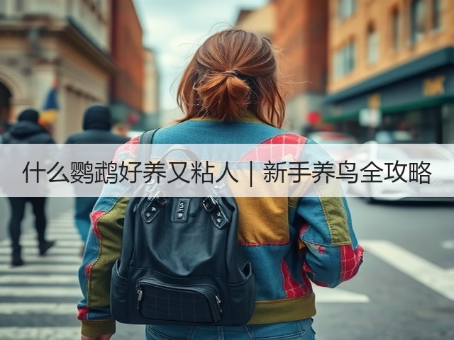 什么鹦鹉好养又粘人｜新手养鸟全攻略(图2)