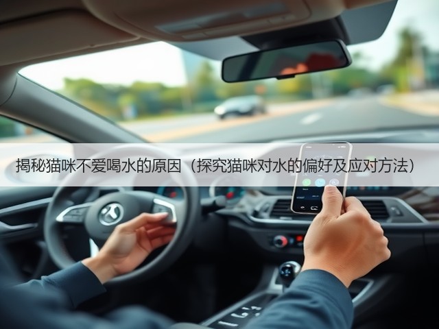 揭秘猫咪不爱喝水的原因（探究猫咪对水的偏好及应对方法）(图3)