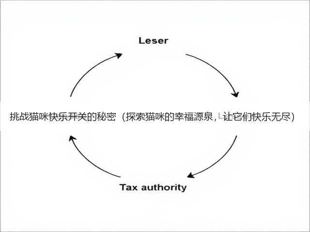 挑战猫咪快乐开关的秘密(探索猫咪的幸福源泉,让它们快乐无尽)(图3) 挑战猫咪快乐开关的秘密(探索猫咪的幸福源泉,让它们快乐无尽)(图3)