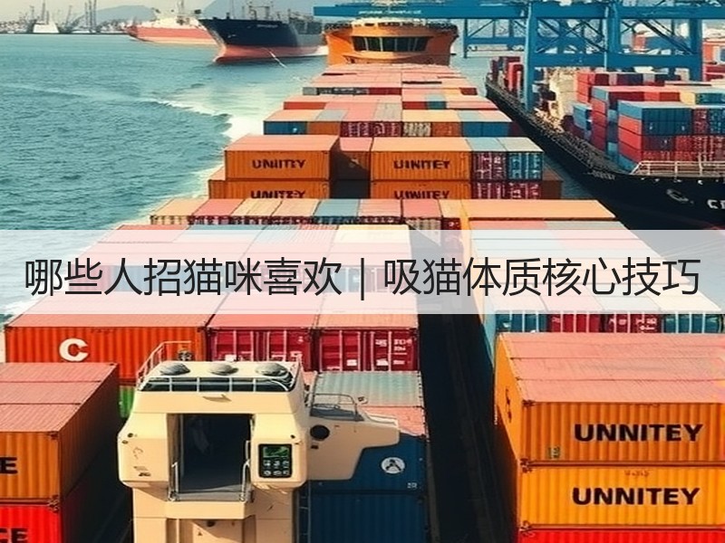 哪些人招猫咪喜欢｜吸猫体质核心技巧