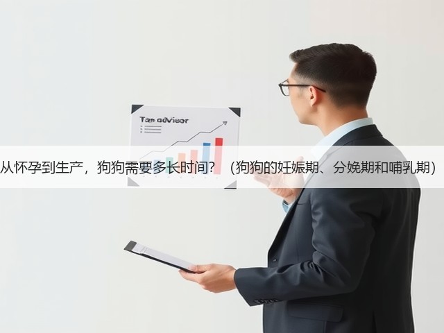 从怀孕到生产,狗狗需要多长时间?(狗狗的妊娠期、分娩期和哺乳期)(图3) 从怀孕到生产,狗狗需要多长时间?(狗狗的妊娠期、分娩期和哺乳期)(图3)