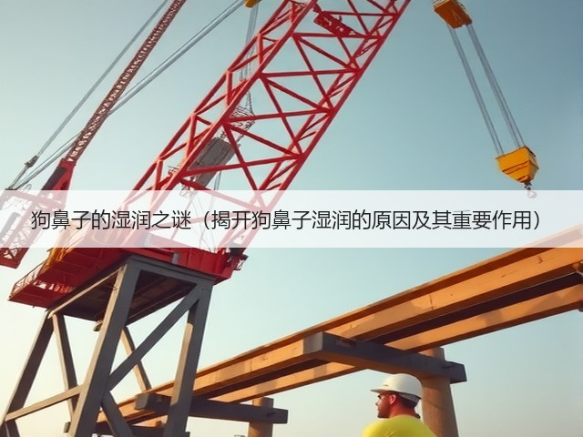 狗鼻子的湿润之谜(揭开狗鼻子湿润的原因及其重要作用)(图2) 狗鼻子的湿润之谜(揭开狗鼻子湿润的原因及其重要作用)(图2)