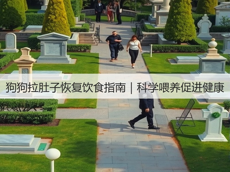 狗狗拉肚子恢复饮食指南｜科学喂养促进健康