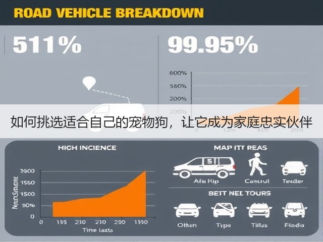 如何挑选适合自己的宠物狗,让它成为家庭忠实伙伴(图3) 如何挑选适合自己的宠物狗,让它成为家庭忠实伙伴(图3)