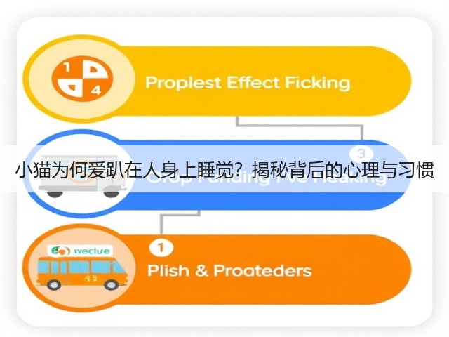 小猫为何爱趴在人身上睡觉?揭秘背后的心理与习惯(图3) 小猫为何爱趴在人身上睡觉?揭秘背后的心理与习惯(图3)