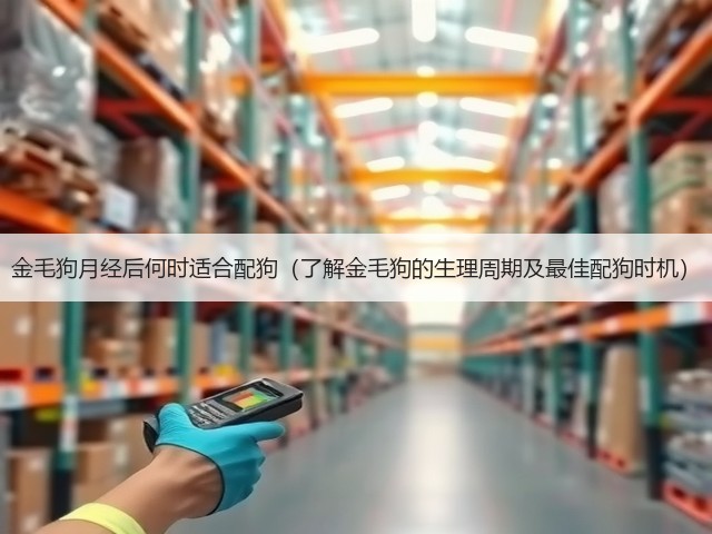 金毛狗月经后何时适合配狗(了解金毛狗的生理周期及最佳配狗时机)(图3) 金毛狗月经后何时适合配狗(了解金毛狗的生理周期及最佳配狗时机)(图3)