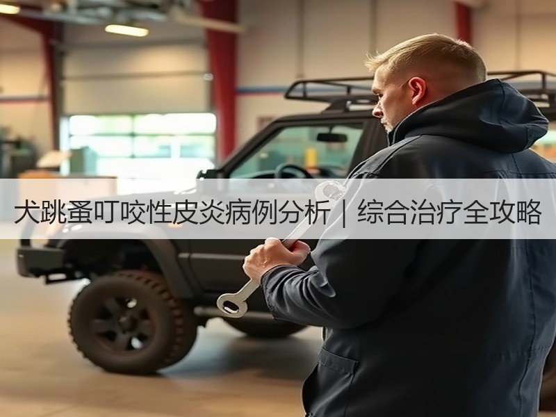 犬跳蚤叮咬性皮炎病例分析｜综合治疗全攻略