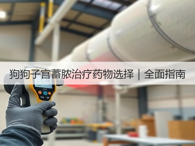 狗狗子宫蓄脓治疗药物选择|全面指南(图2) 狗狗子宫蓄脓治疗药物选择|全面指南(图2)