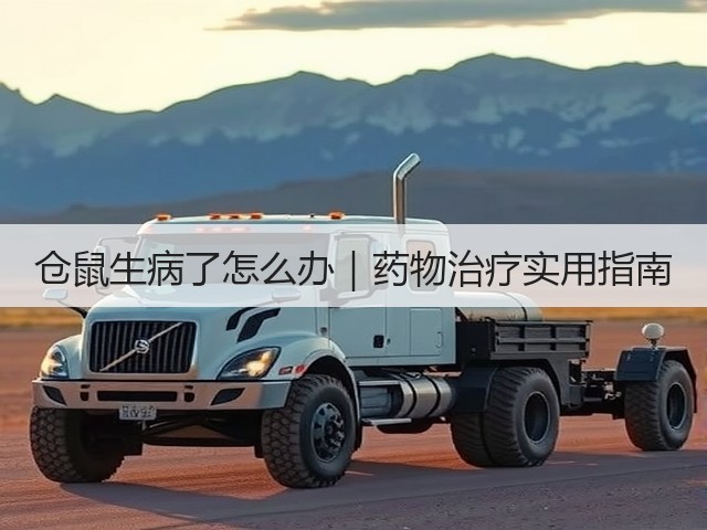 仓鼠生病了怎么办|药物治疗实用指南(图1) 仓鼠生病了怎么办|药物治疗实用指南(图1)